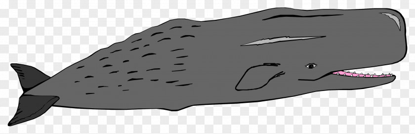 Fish Anglerfish Child Drawing PNG