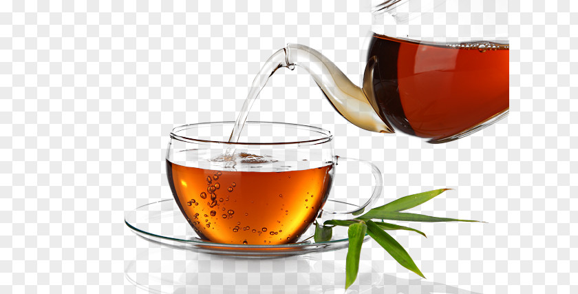 Cha Darjeeling White Tea Green Assam PNG