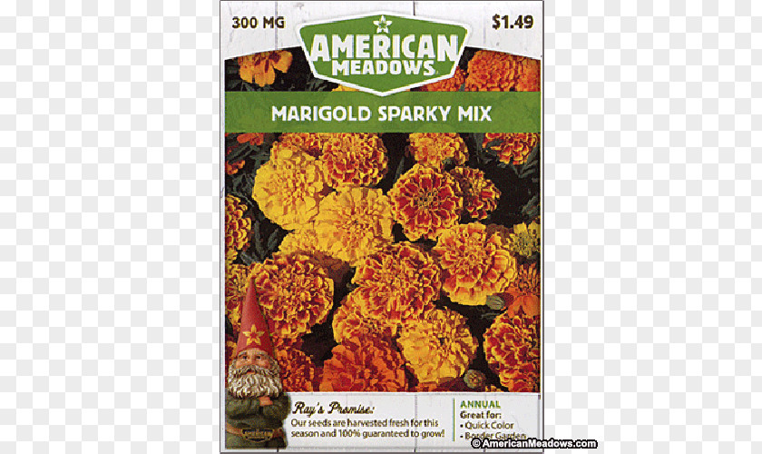 Marigold Vegetarian Cuisine Seed Flower Recipe PNG