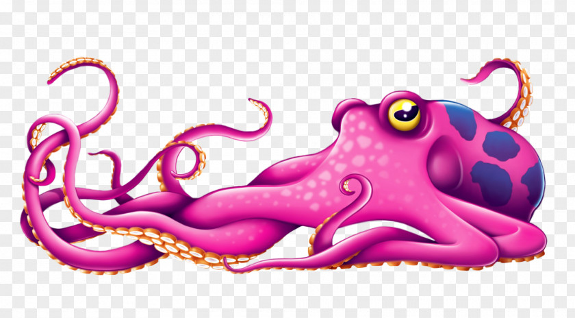 Octopus PNG clipart PNG