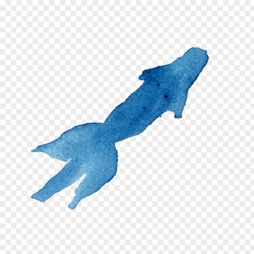 Shark PNG