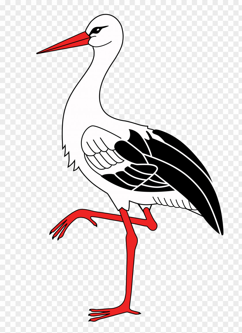 Stork White Bird Wader Bergenhusen Beak PNG