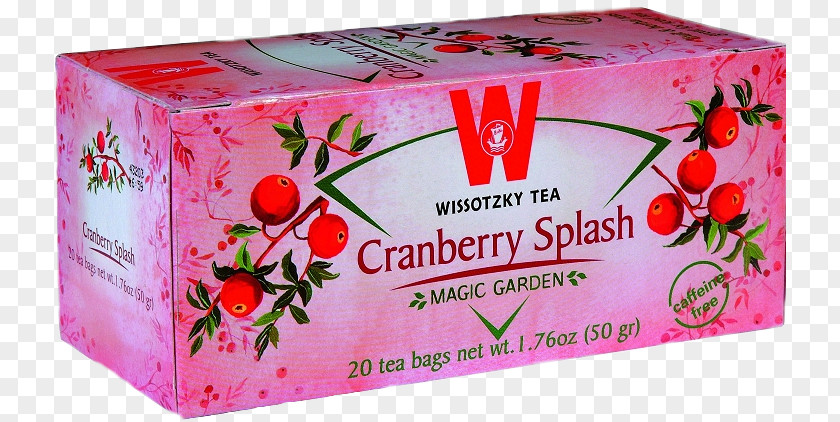 Tea Splash Wissotzky Ginger Coffee Bag PNG