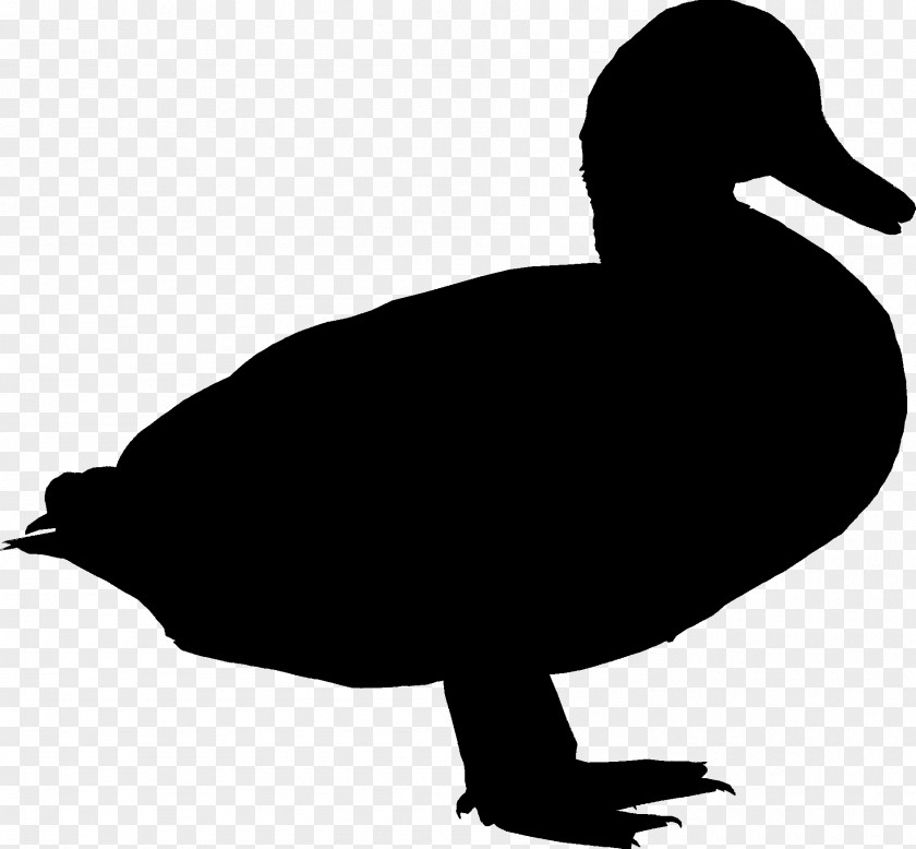 Duck Goose Clip Art Fauna Fowl PNG