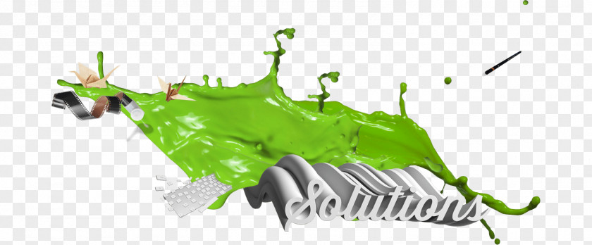 Green Covers Web Development Design Chameleon Ltd PNG