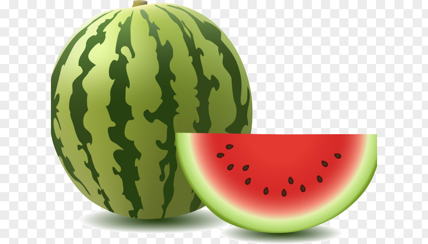 Juicy Cantalope Watermelon Vector Graphics Image Fruit Clip Art PNG
