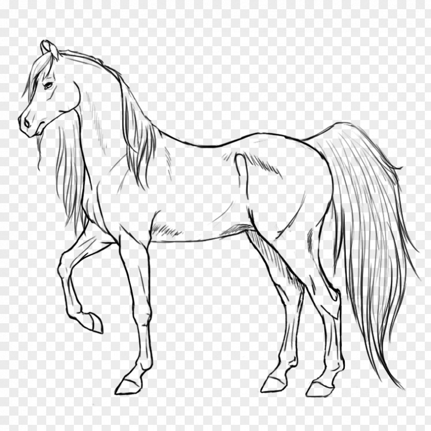 Mustang Line Art Pony Mane PNG