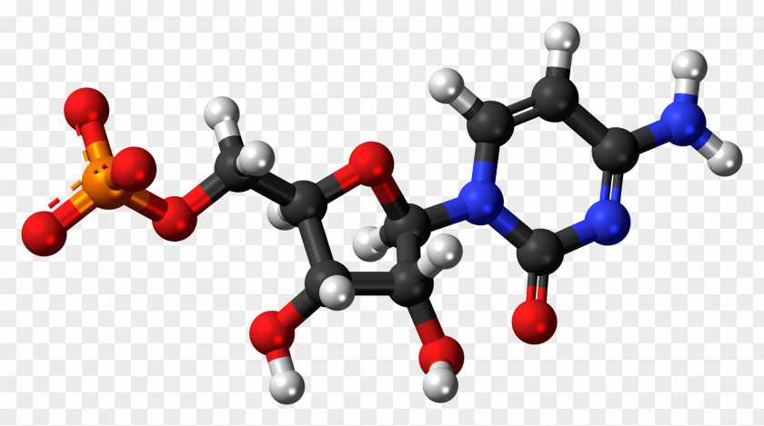 Thymidine Monophosphate Deoxyuridine Adenosine PNG monophosphate monophosphate, Cytidine clipart PNG