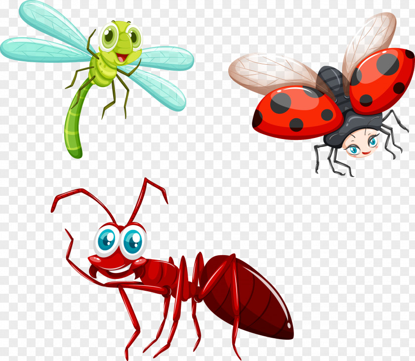 Vector Hand Painted Insects Insect Royalty-free Illustration PNG