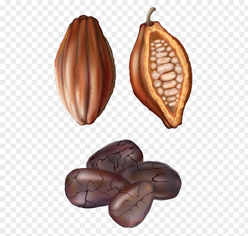 Chocolate Clip Art Cocoa Bean Openclipart Cacao Tree PNG