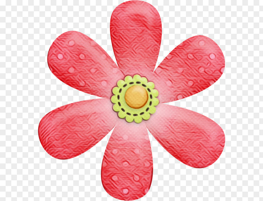 Cut Flowers Petal Flower PNG