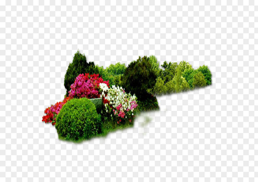 Flower Bed Download PNG