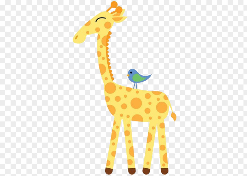 Giraffe Clipart Cuteness Mammal Animal Infant PNG