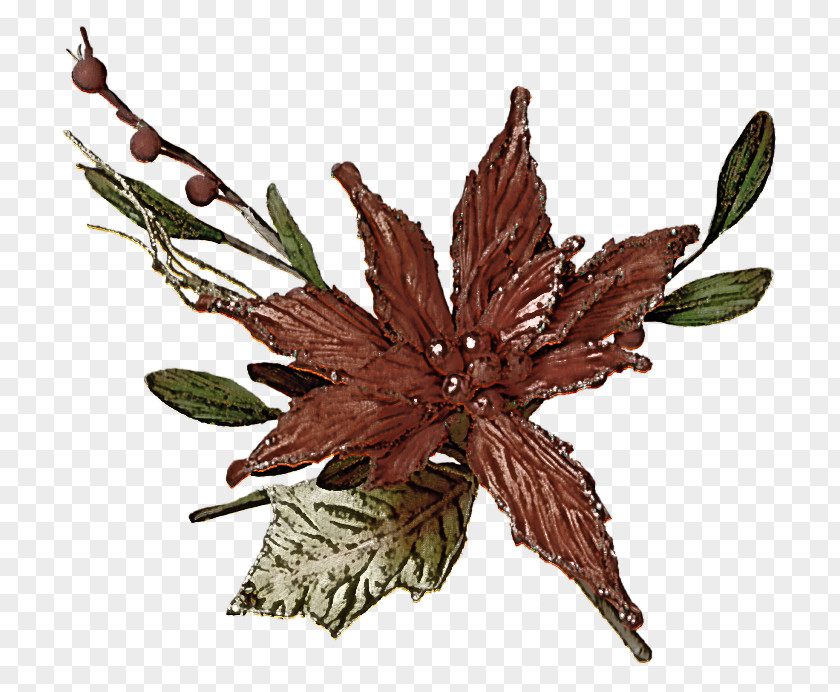 Leaf Twig Flower Plant Structure Science PNG