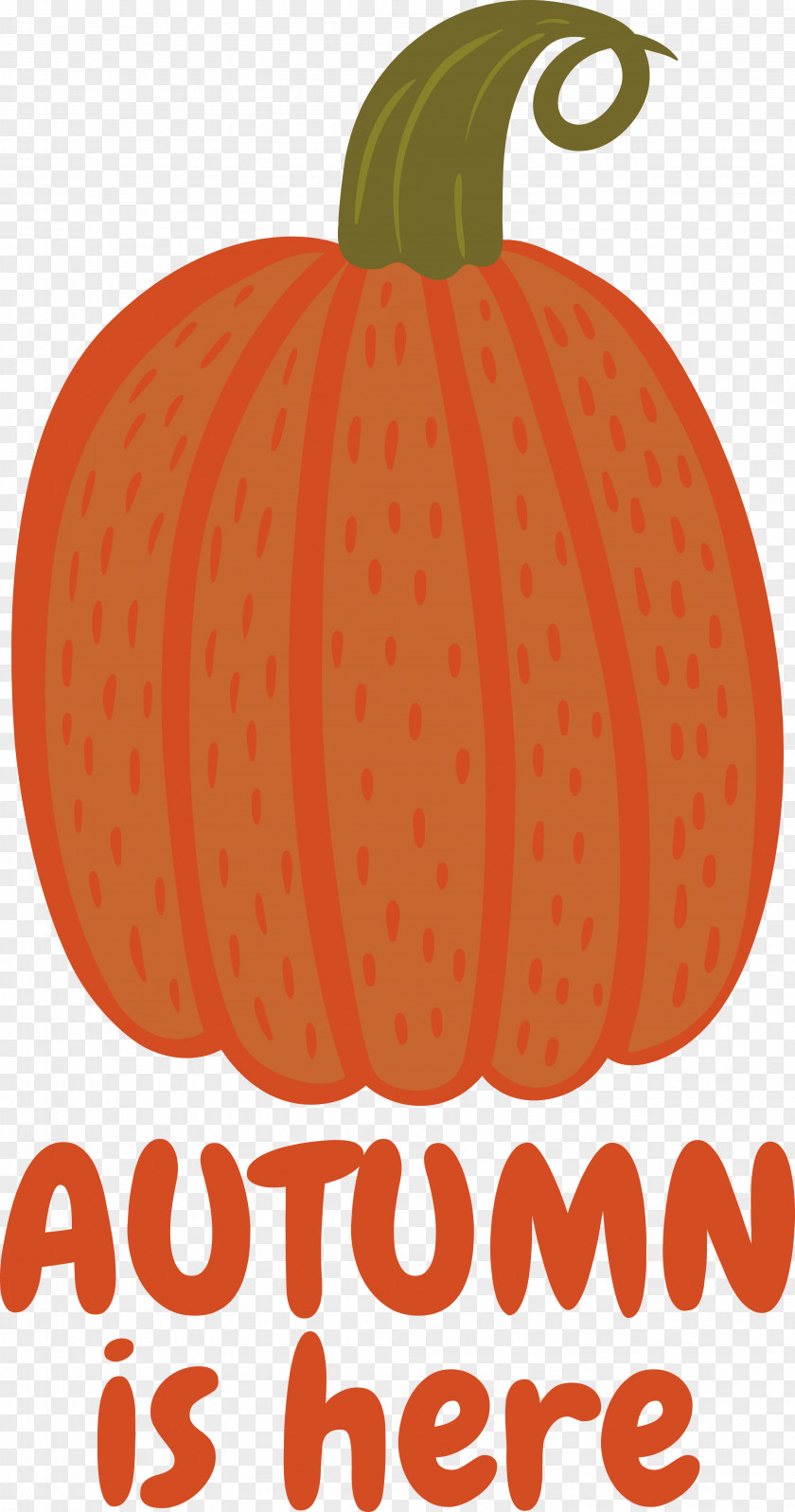 Orange PNG