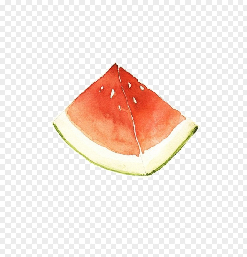 Watermelon Watercolor Painting Paper Illustrator Illustration PNG