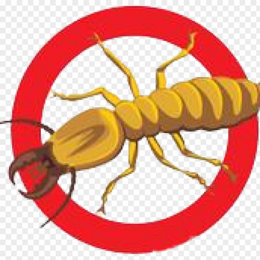 Cockroach Pest Control Clip Art PNG