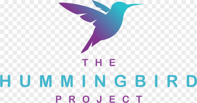 Hummingbird Logo Beak PNG