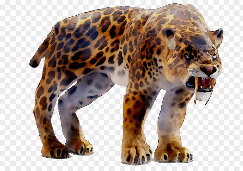 Jaguar Leopard Tiger Cheetah Machairodontinae PNG