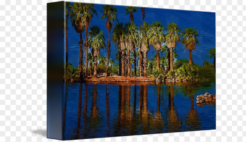 Palm Tree And Water Majorelle Blue Garden Bayou Painting Landscape PNG