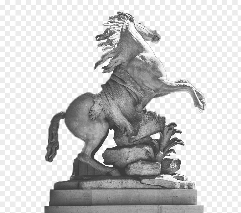 Pegasus Statue Musée Du Louvre Sculpture PNG
