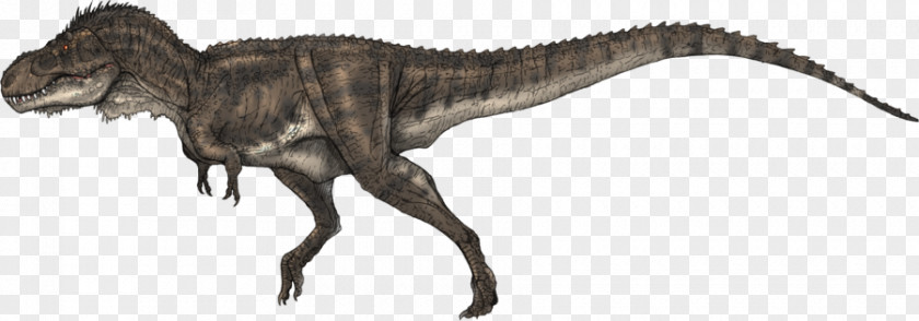 Tyrannosaurus Rex Carcharodontosaurus Allosaurus Giganotosaurus Spinosaurus PNG
