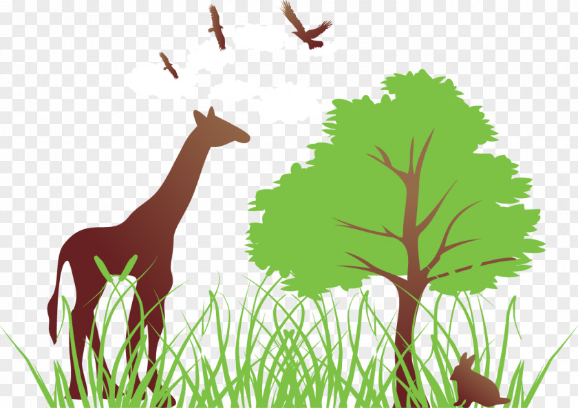 Vector Giraffe Eating Leaves Tree Clip Art PNG