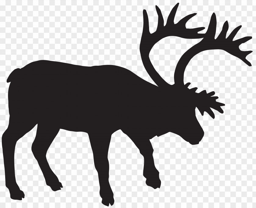 Fallow Deer Silhouette Clip Art Image North America Muskox Animal Track Footprint Hunting PNG