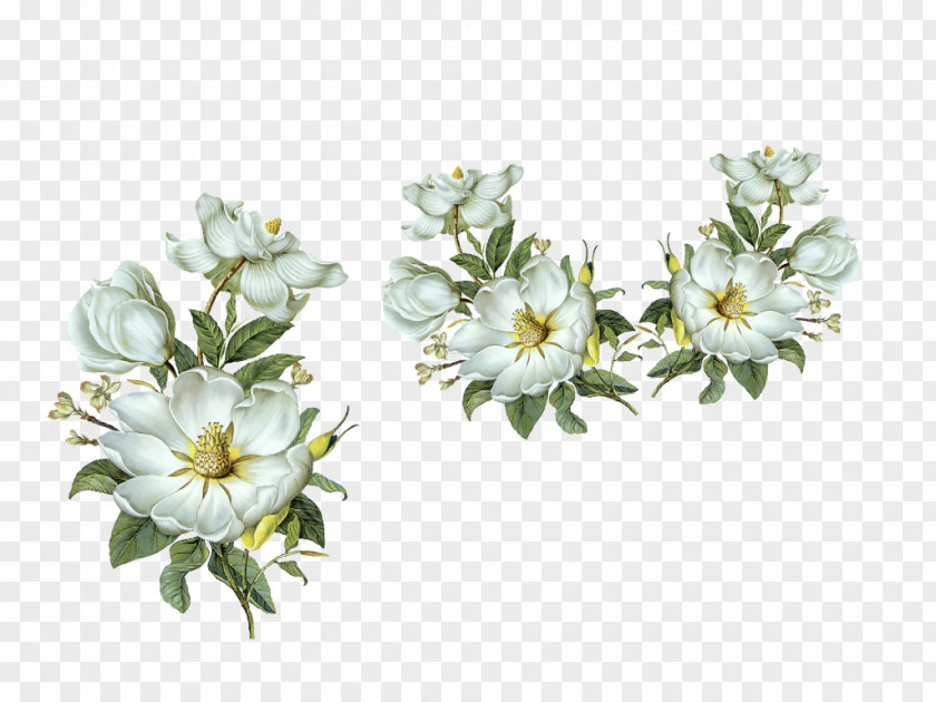 Fiori Sticker Design White Image Flower PNG