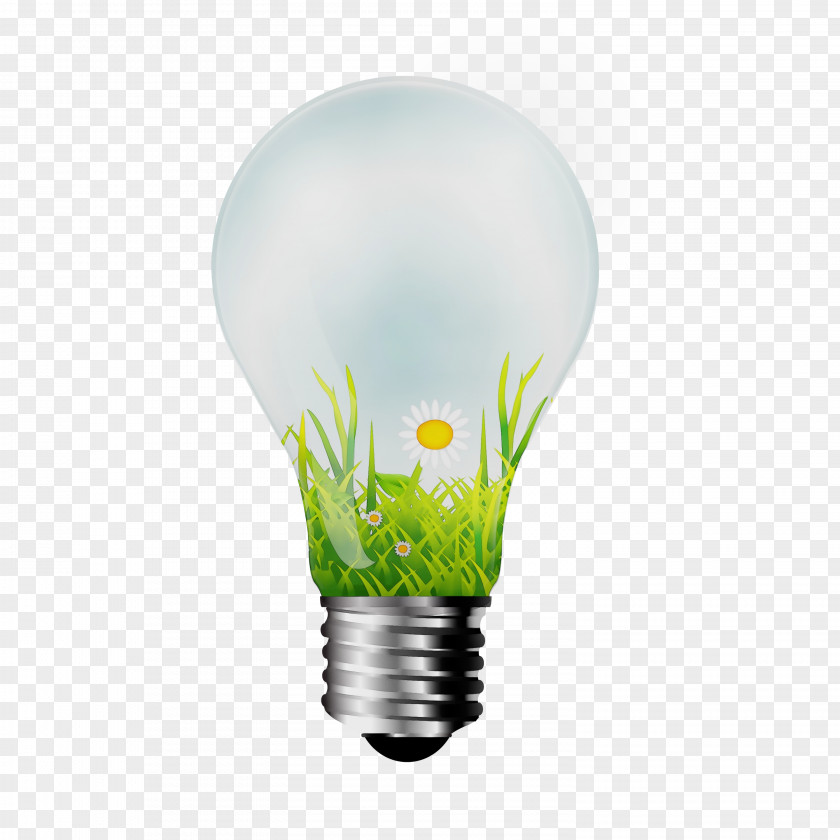 Fluorescent Lamp Plant Light Bulb Cartoon PNG