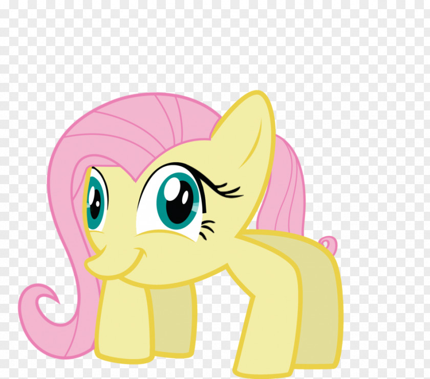 Kitten Whiskers Horse Pony PNG