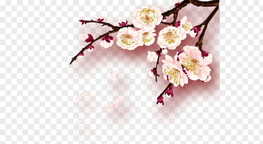 Plum Flower Chinese New Year Blossom Clip Art PNG