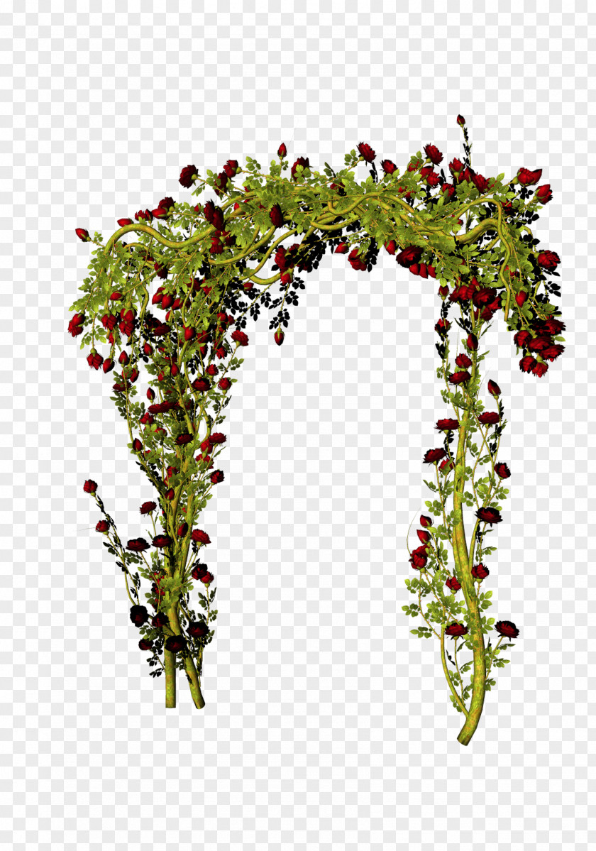 Rose Gate Flower Download PNG