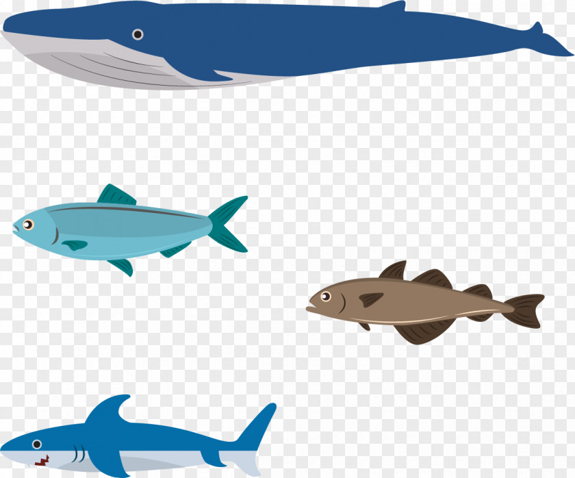 Whale Ocean Flat Design Illustration PNG