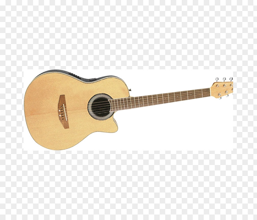 Acoustic Guitar Acoustic-electric Bass Chord PNG