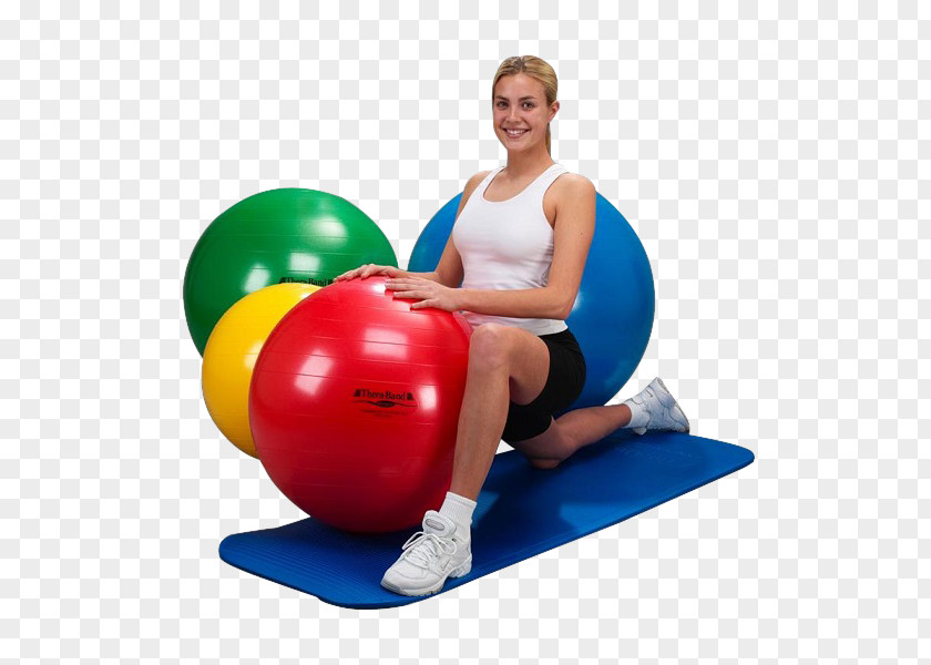 Calalog Exercise Balls Physical Therapy Sports PNG