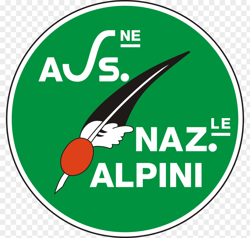 Sezione Di VicenzaColore Alpini National Gathering Pasubio Association Associazione Nazionale PNG