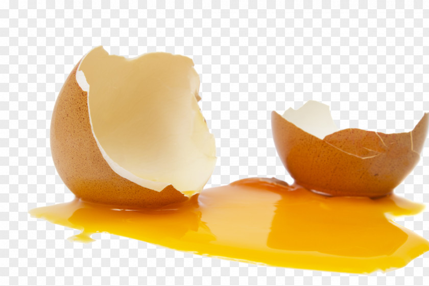 White Egg Eggnog Yolk Eggshell Stain PNG