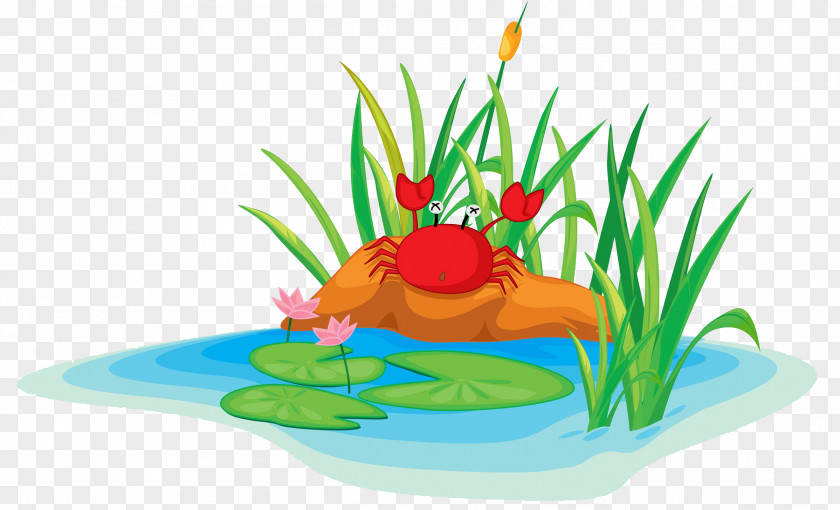 Crabs On The Banks Of River Edible Frog Cartoon Illustration PNG