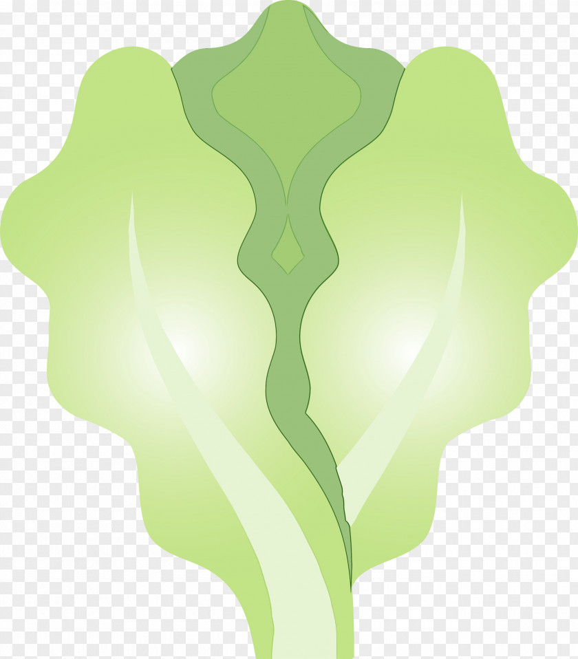 Green Leaf Plant Lettuce PNG