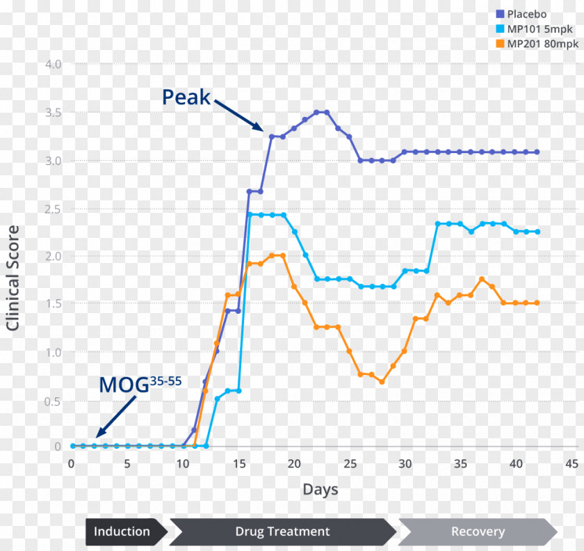 Multiple Sclerosis Line Angle Diagram PNG