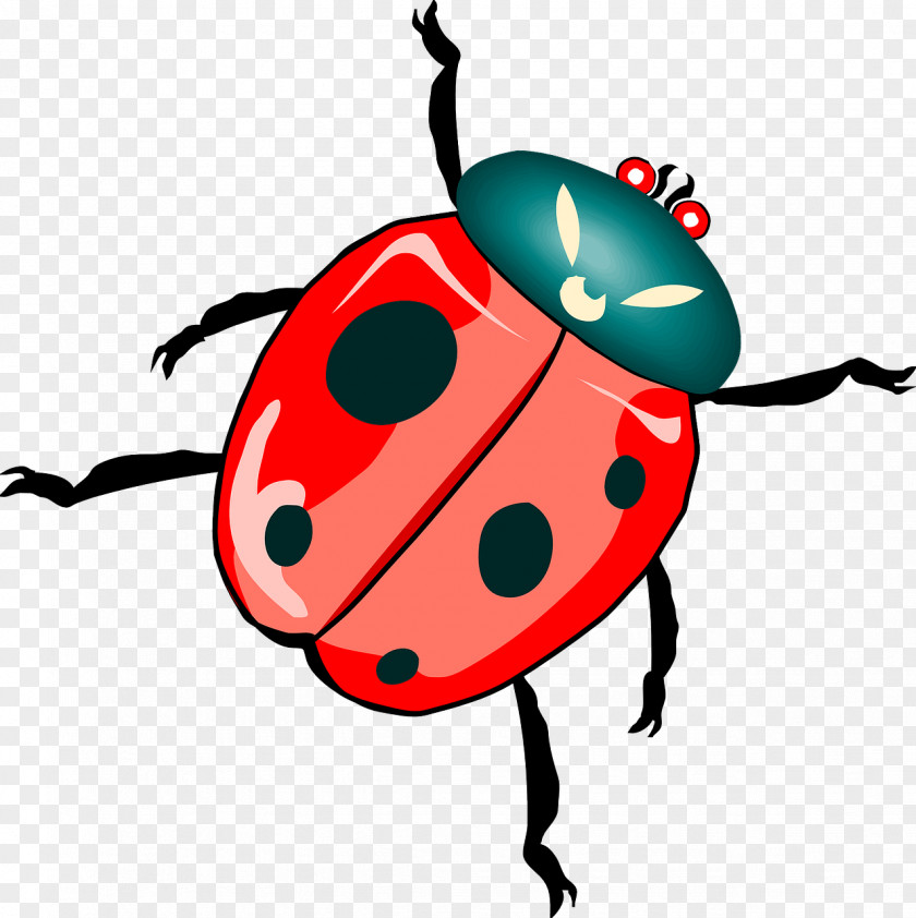 Red Ladybug Insect Clip Art PNG