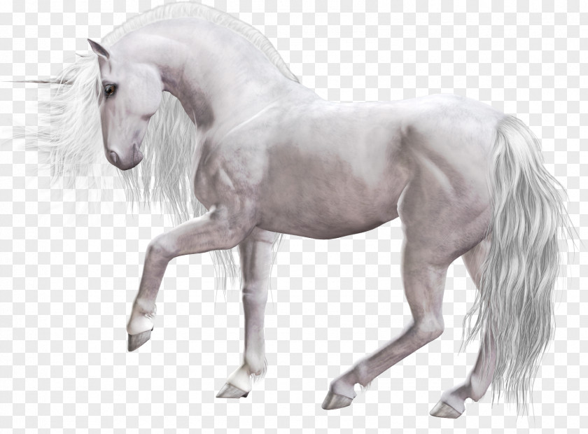 Unicorn Mane Mustang Stallion Clip Art PNG