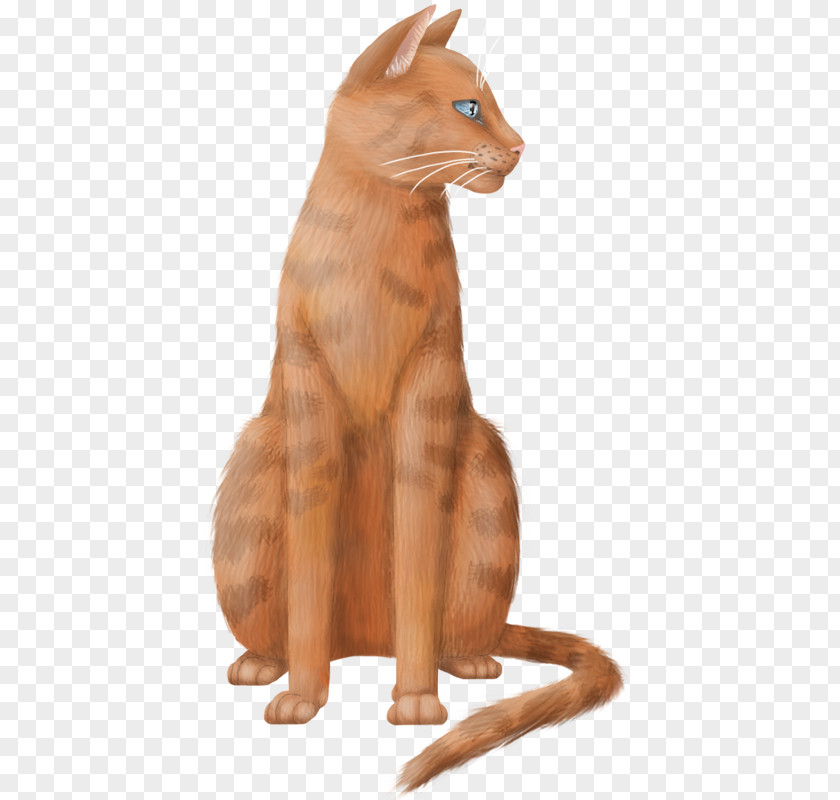 Whiskers /m/083vt Fauna Wood Paw PNG