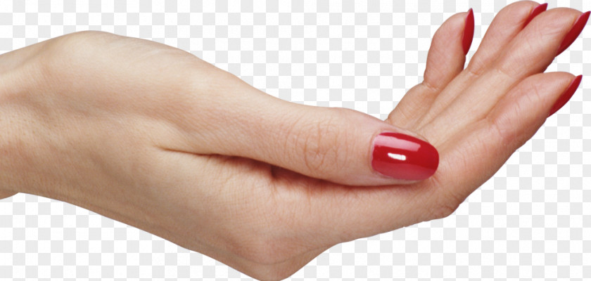Hand Palm Finger PNG