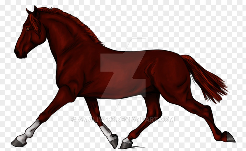 Horse Grooming Animation Cartoon PNG