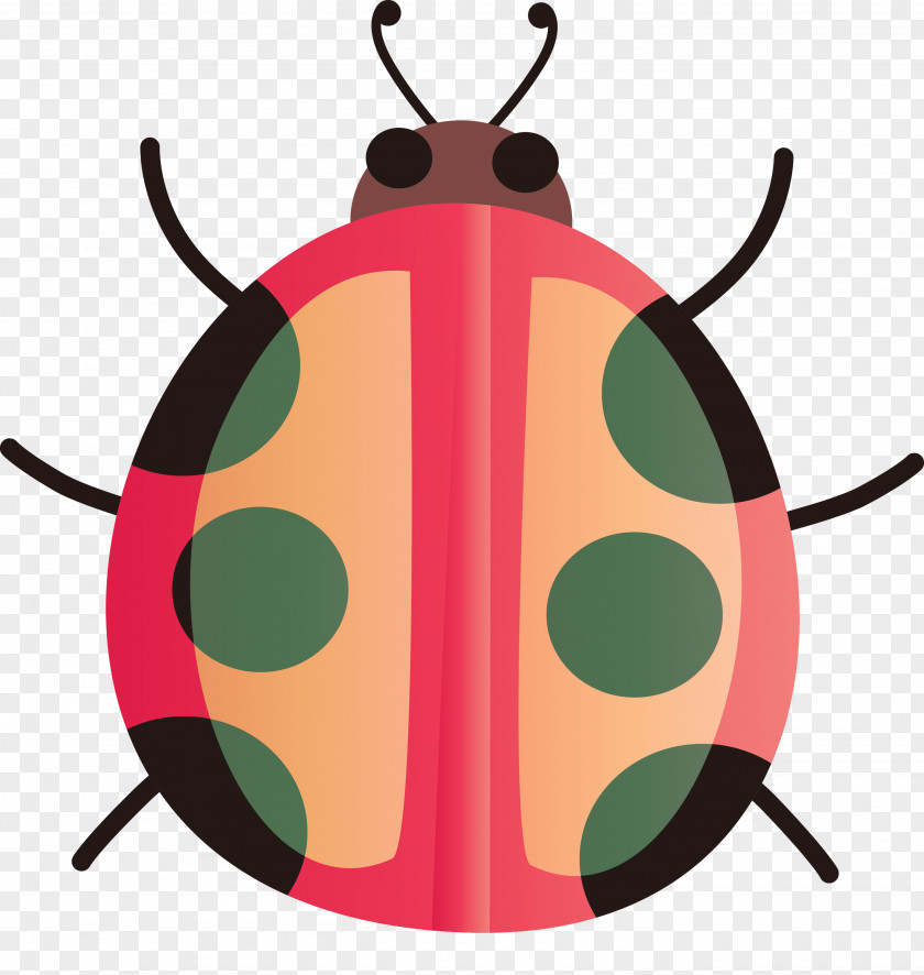 Insect Jewel Bugs PNG