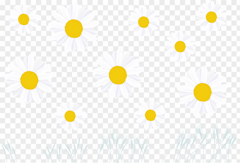 Petal Flower Yellow Line Meter PNG