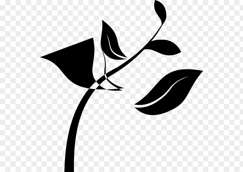 Plant Seedling Stem Clip Art PNG