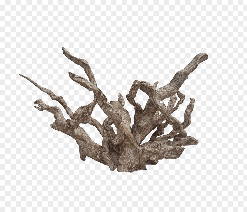 Coral Collection Driftwood Art White River PNG